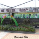 사슴방목장 이미지