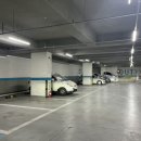 폴리프라자Ⅳ 이미지