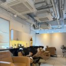 강아지 미장원 | 광교 미용실 <유월애미장원> 뿌리염색 후기