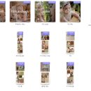 강남-100 | 눈부신일상 강남점 아기 100일 촬영 백일사진 후기