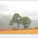 소나무산촌마을