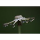 부평공원 이미지