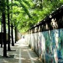 눈동자./.소녀의 기도./.Travelling 이미지