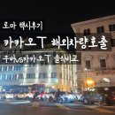 우리경영T.S | [로마 택시] 카카오T 해외차량호출 이용후기 | 우버 vs 카카오T (장·단점 비교)