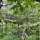 치유의숲 진입도로 | 충남 계룡 향적산 치유의 숲 등산코스 센터 주차장 최단코스 등 후기