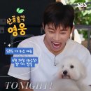 sbs 하반기 기대되는 예능 이미지