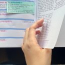 에세테라 이미지