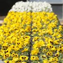 백양산 양묘장 이미지