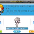 스테리헤어 이미지