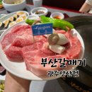 광주 양산동 맛집, 부산갈매기 광주양산점
