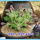 문수실버복지관 이미지