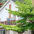 금빛물결펜션 이미지