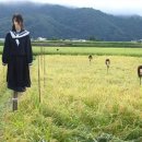 허수아비 이미지