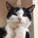 (주)제이오 이미지