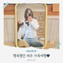 제주 2박 3일 가족여행 마지막날｜목장카페 밭디, 숙성도 제주본점, 제주공항까지
