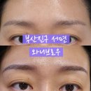 와니카레 | 부산 서면 눈썹 반영구 와니브로우 아프지 않은 솔직 후기 예약 정보