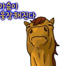 바디라이프 이미지