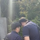 호진상사
