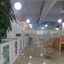 러블리독 애견카페 이미지