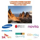 노비타동해삼척