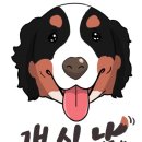 신남케어 이미지