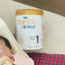 엡솔루트 | 조리원 퇴소 후 신생아분유 선택 앱솔루트 센서티브 후기(feat. 리안 아기띠)