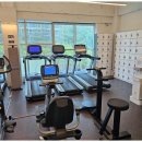 더라인 휘트니스 이미지