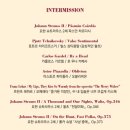 2024 신년음악회 필하모닉 앙상블 공연 | 예술의전당] 동탄아트홀 <빈 필하모닉 앙상블 신년음악회> 대만족 후기, 주차, 앵콜곡, 2층 B구역 8열 시야