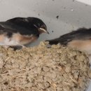 가족자동차공업사 이미지