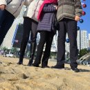 이여사축사 | 속초여행 후기