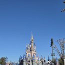 [옥정] 여행사진, 다시 만날 수 없는 시간들 | 올랜도 디즈니월드 매직킹덤 2월 여행 - 놀이기구, 캐릭터 그리팅 추천 후기, 팁