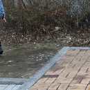 축구장 옆 화단 | [후기] 4월 5일 식목일, 책방 쿰이 초록색으로 물들었어요! (씨앗폭탄 &amp; 작은책 만들기)