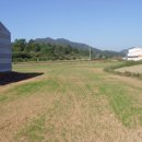 고금면-6 이미지