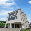 반도스파인 이미지