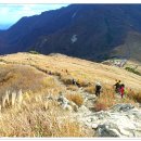 공룡목장 이미지