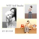 씨유 첨단천사 | 광주 첨단 위트 셀프사진관 / 강아지 애견동반 사진 후기 / 데이트 커플사진 / 가족사진 /우정사진