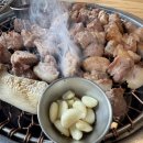 도야진가