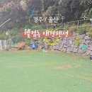 웰컴독 애견펜션 이미지