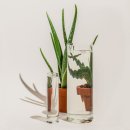 라파메디 이미지