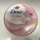 자판기나라 | 일본 여행 - 기념품, 선물, 쇼핑템 후기(feat. 추천템, 비추천템, 돈키호테, 일본 자판기)