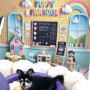 퍼피파라다이스 이미지