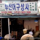 부산선구상사