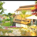 달록비치 이미지