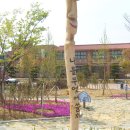 회현중학교 이미지