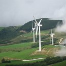 푸른초원 이미지