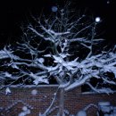 사곡1리 이미지