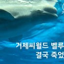 씨월드 이미지