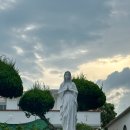 천주교 순례길 - 김기량길 이미지