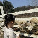 인화목장 | 경기도/가평 l 아이와 가볼만한 곳 양떼목장 / 먹이주기, 썰매 체험 할인 예매 (+카페)