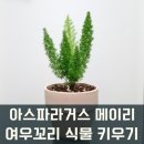 메이리에 이미지